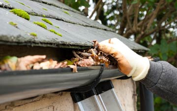 gutter cleaning Ruthwell Station, Dumfries And Galloway