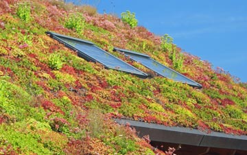 Ruthwell Station living roof systems